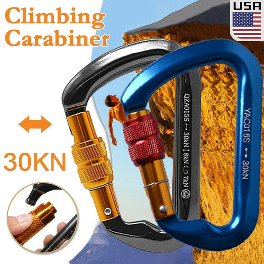 Iclover [2 Packs] Travel Camping Aluminum D-Ring Clip Hook Climbing Screw Locking Screwgate Rescue Carabiner Blue & Gray