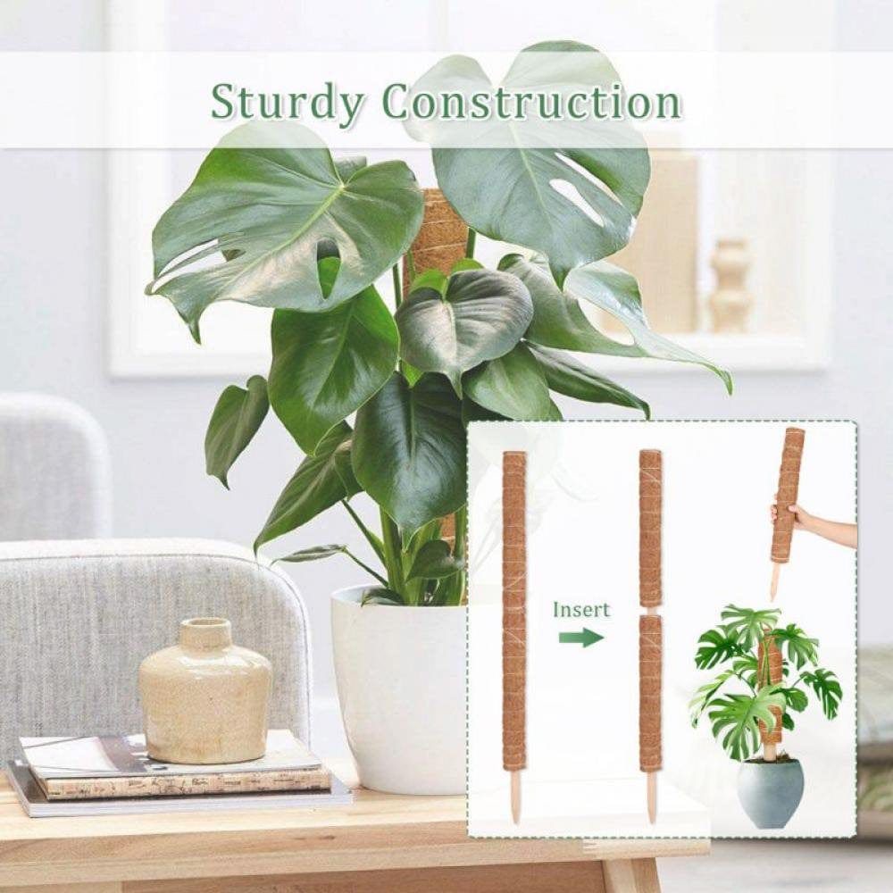 Patgoal Moss for Potted Plants, Plant Trellis, Moss Poles for Climbing Plants, Plant Stake, Indoor Plants, Plant Accessories, Moss Pole,Wood Trellis, Plants, Plant Sticks Support