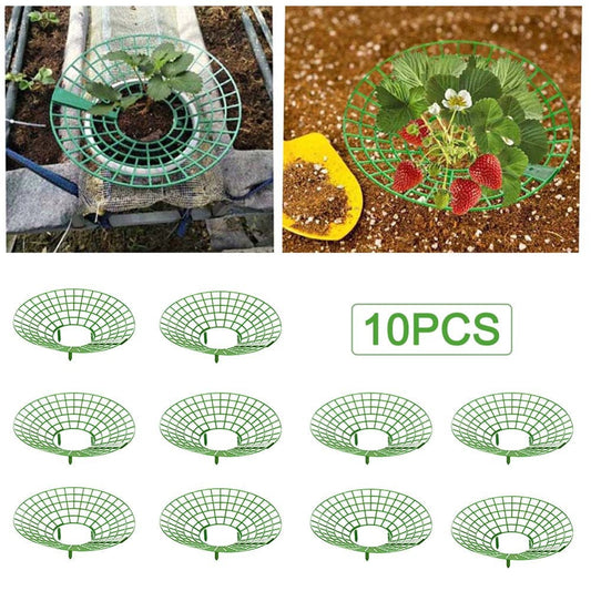 SKQOUI - 10Pcs Easy Use Climbing Trellis Strawberry Stand Home Fruit Support Garden Tools
